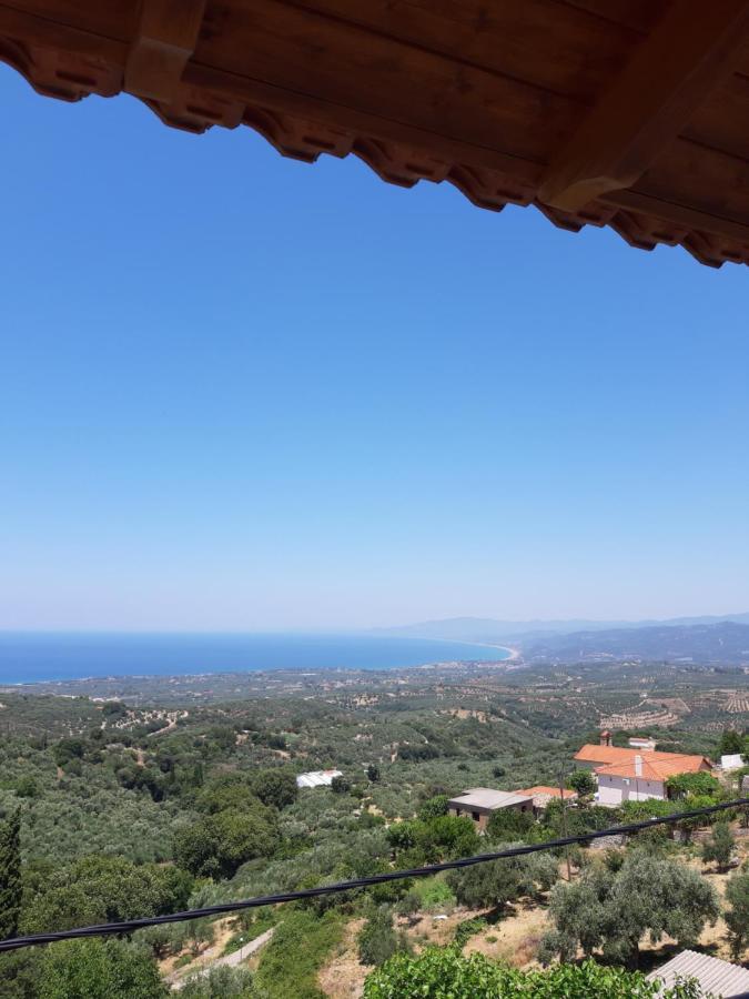 -Tsiakos Apartment- In Vryses キパリシア エクステリア 写真